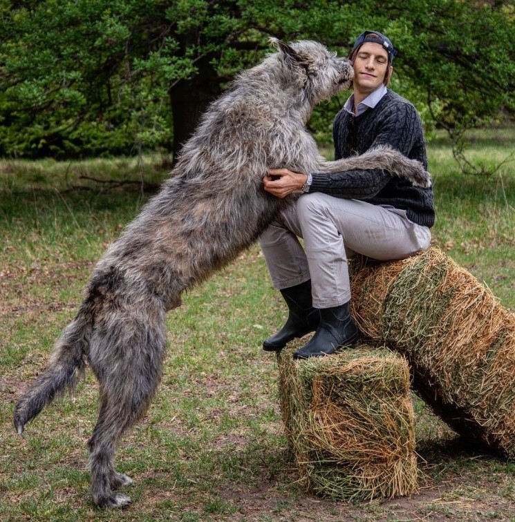 ¡Gigante y muy cariñoso!