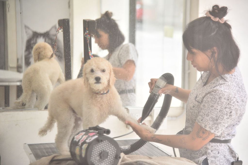 El baño y peluquería para los perros llega a costar 20 mil pesos en los de más tamaño. Foto: (Pedro Castillo / La Voz / Archivo)